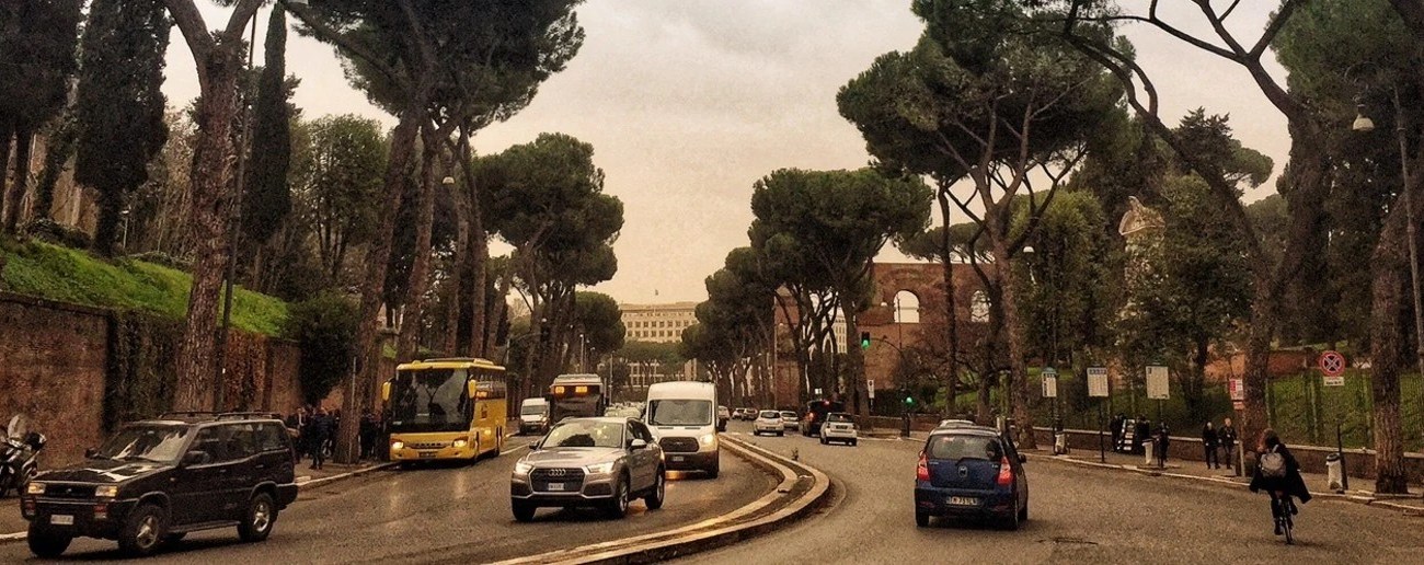 A tree lined road filled with vehicles, cyclist and pedestrian walking on the pavement