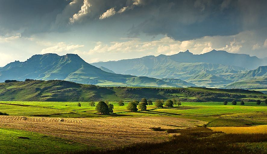 Focus On Practitioner's take on Lumpy Skin Disease banner image - Landscape featuring green fields with trees and mountains in the background