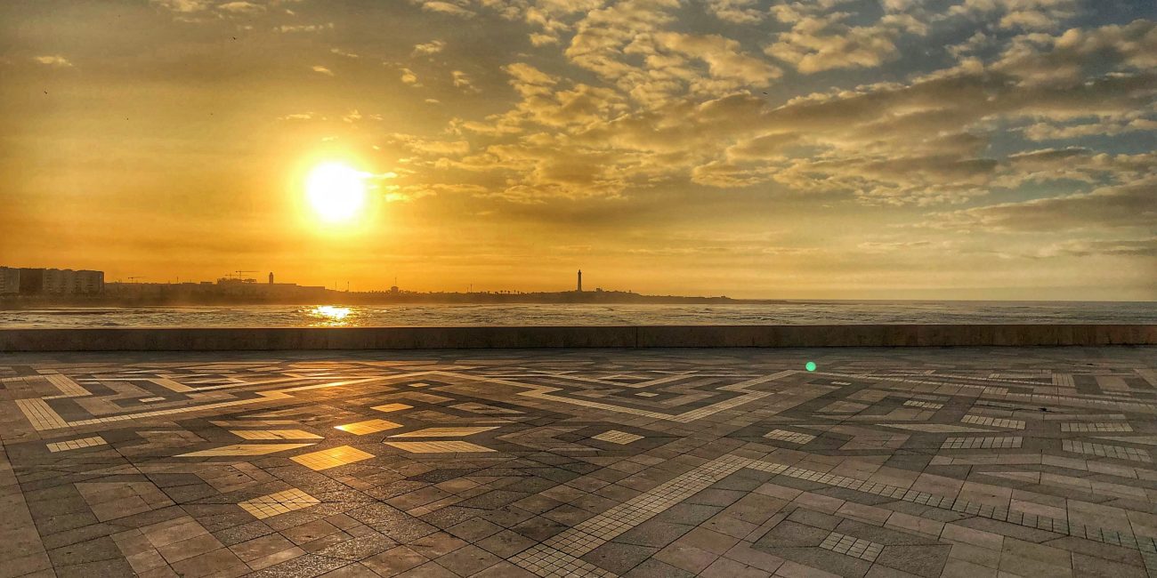 Holistic approach controlling diseases banner image - View from the paved area overlooking the sea with a cityscape on the far side