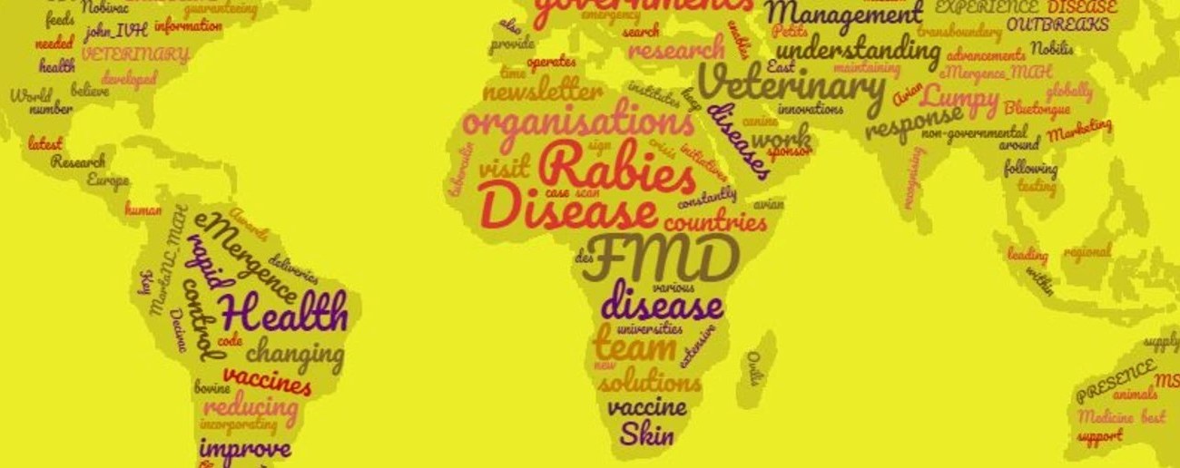 Frontline of shifting diseases banner image - World map with the countries filled with the names of diseases