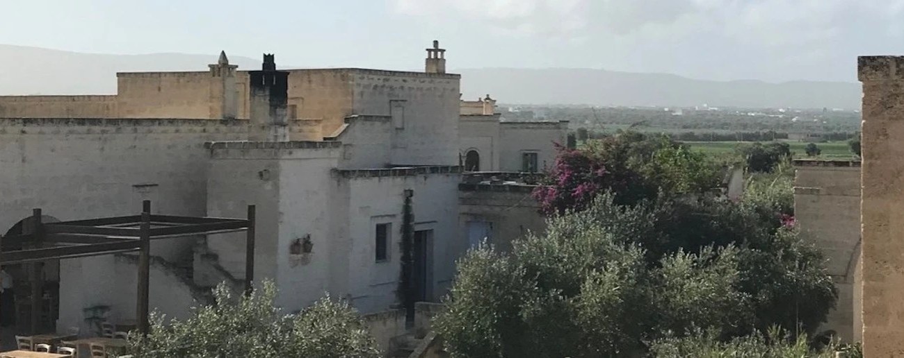 Engaging Community Practical Solutions banner image - Rooftop view of old buildings surrounded by flowering bushes and mountains in the background